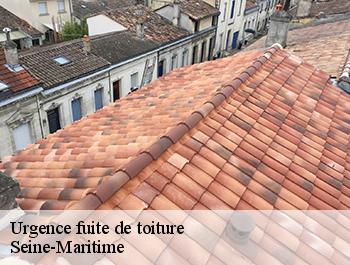 Urgence fuite de toiture 76 Seine-Maritime  ED couverture