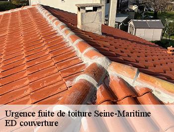 Urgence fuite de toiture 76 Seine-Maritime  ED couverture