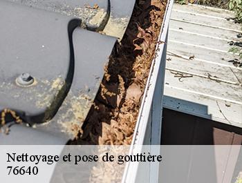 Nettoyage et pose de gouttière  alvimare-76640 ED couverture