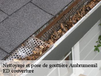 Nettoyage et pose de gouttière  ambrumesnil-76550 ED couverture