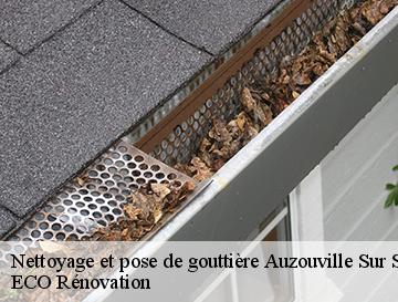 Nettoyage et pose de gouttière  auzouville-sur-saane-76730 ECO Rénovation