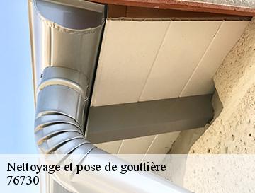 Nettoyage et pose de gouttière  auzouville-sur-saane-76730 ECO Rénovation