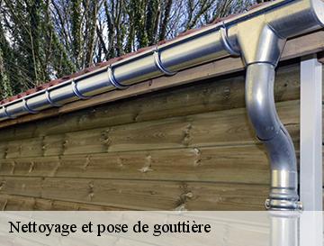 Nettoyage et pose de gouttière  auzouville-sur-saane-76730 ECO Rénovation