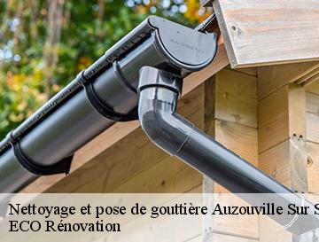 Nettoyage et pose de gouttière  auzouville-sur-saane-76730 ECO Rénovation