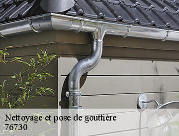 Nettoyage et pose de gouttière  auzouville-sur-saane-76730 ECO Rénovation