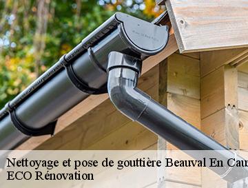 Nettoyage et pose de gouttière  beauval-en-caux-76890 ECO Rénovation