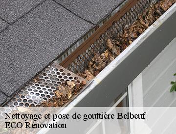 Nettoyage et pose de gouttière  belbeuf-76240 ECO Rénovation