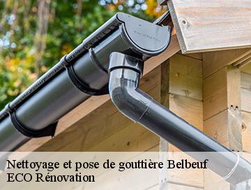 Nettoyage et pose de gouttière  belbeuf-76240 ECO Rénovation