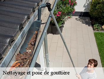 Nettoyage et pose de gouttière  la-belliere-76440 ED couverture