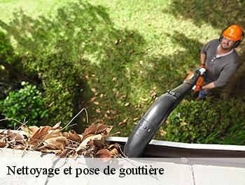 Nettoyage et pose de gouttière  la-belliere-76440 ED couverture