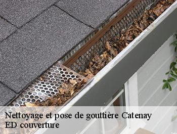 Nettoyage et pose de gouttière  catenay-76116 ED couverture