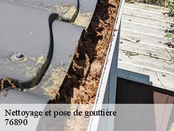 Nettoyage et pose de gouttière  la-fontelaye-76890 ED couverture