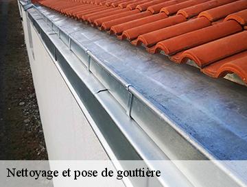 Nettoyage et pose de gouttière  gonneville-sur-scie-76590 ECO Rénovation