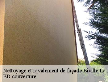 Nettoyage et ravalement de façade  biville-la-baignarde-76890 ED couverture