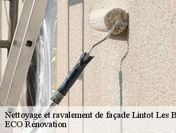 Nettoyage et ravalement de façade  lintot-les-bois-76590 ECO Rénovation