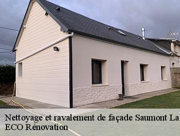 Nettoyage et ravalement de façade  saumont-la-poterie-76440 ED couverture