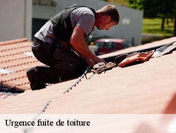 Urgence fuite de toiture  angerville-la-martel-76540 ECO Rénovation