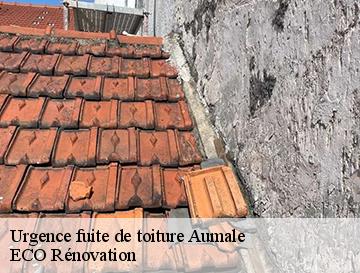 Urgence fuite de toiture  aumale-76390 ECO Rénovation