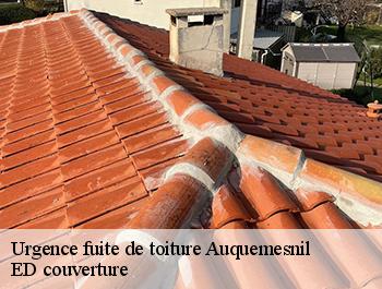 Urgence fuite de toiture  auquemesnil-76630 ED couverture