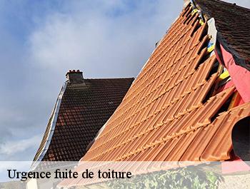 Urgence fuite de toiture  bailleul-neuville-76660 ED couverture