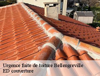 Urgence fuite de toiture  bellengreville-76630 ED couverture