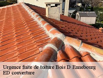 Urgence fuite de toiture  bois-d-ennebourg-76160 ED couverture