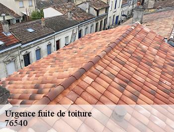 Urgence fuite de toiture  criquetot-le-mauconduit-76540 ED couverture