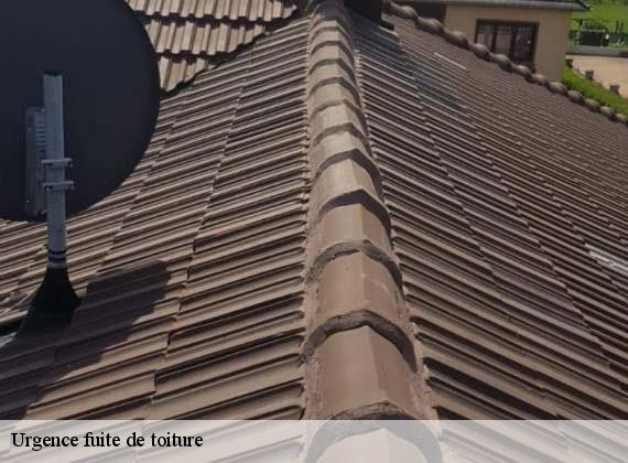Urgence fuite de toiture  crosville-sur-scie-76590 RS couvreur 76