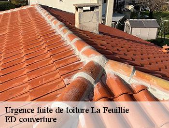 Urgence fuite de toiture  la-feuillie-76220 ED couverture