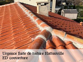 Urgence fuite de toiture  hattenville-76640 ED couverture