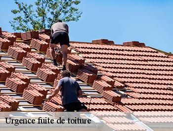 Urgence fuite de toiture  les-loges-76790 ED couverture