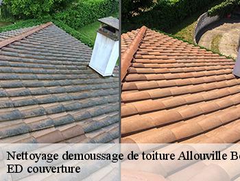 Nettoyage demoussage de toiture  allouville-bellefosse-76190 ED couverture