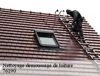 Nettoyage demoussage de toiture  allouville-bellefosse-76190 ED couverture