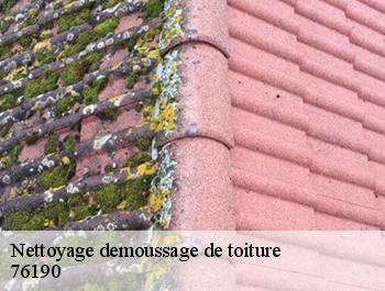 Nettoyage demoussage de toiture  allouville-bellefosse-76190 ED couverture