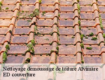 Nettoyage demoussage de toiture  alvimare-76640 ED couverture