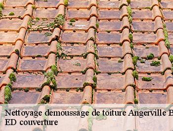 Nettoyage demoussage de toiture  angerville-bailleul-76110 ED couverture