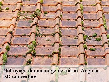 Nettoyage demoussage de toiture  angiens-76740 ED couverture