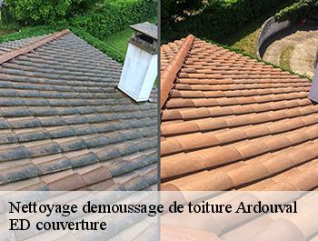 Nettoyage demoussage de toiture  ardouval-76680 ED couverture