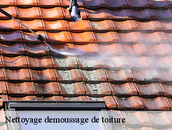 Nettoyage demoussage de toiture  argueil-76780 ED couverture