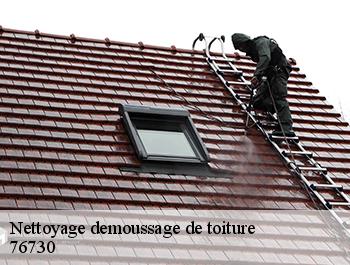 Nettoyage demoussage de toiture  auppegard-76730 ED couverture