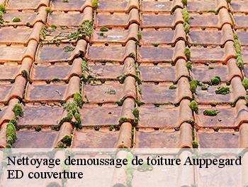 Nettoyage demoussage de toiture  auppegard-76730 ED couverture