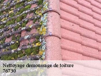 Nettoyage demoussage de toiture  auppegard-76730 ED couverture