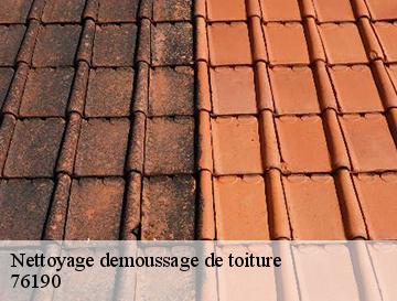 Nettoyage demoussage de toiture  autretot-76190 ECO Rénovation