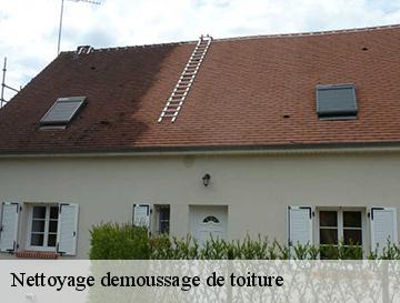 Nettoyage demoussage de toiture  autretot-76190 ECO Rénovation