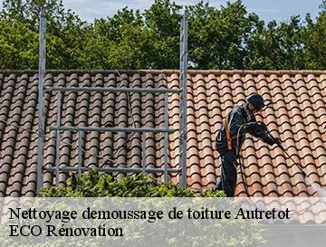 Nettoyage demoussage de toiture  autretot-76190 ECO Rénovation