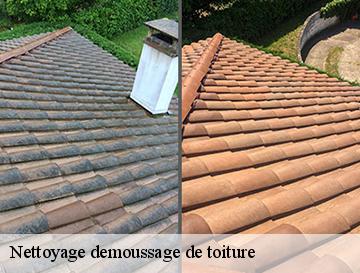 Nettoyage demoussage de toiture  autretot-76190 ECO Rénovation