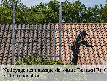 Nettoyage demoussage de toiture  beauval-en-caux-76890 ECO Rénovation