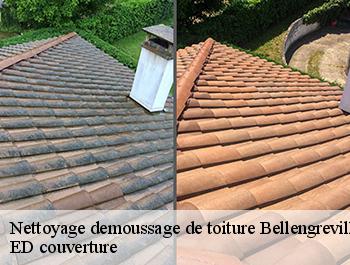 Nettoyage demoussage de toiture  bellengreville-76630 ED couverture