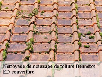 Nettoyage demoussage de toiture  bennetot-76640 ED couverture