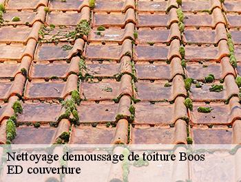 Nettoyage demoussage de toiture  boos-76520 ED couverture